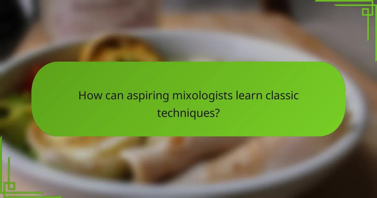 How can aspiring mixologists learn classic techniques?